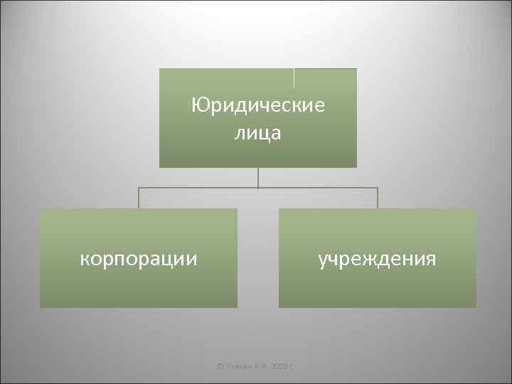 Юридические лица корпорации учреждения © Райлян А. И. 2009 г. 
