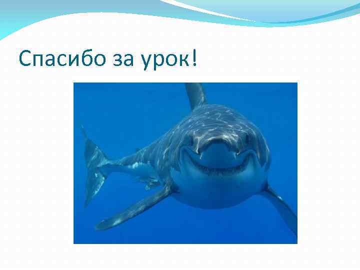 Спасибо за урок! 