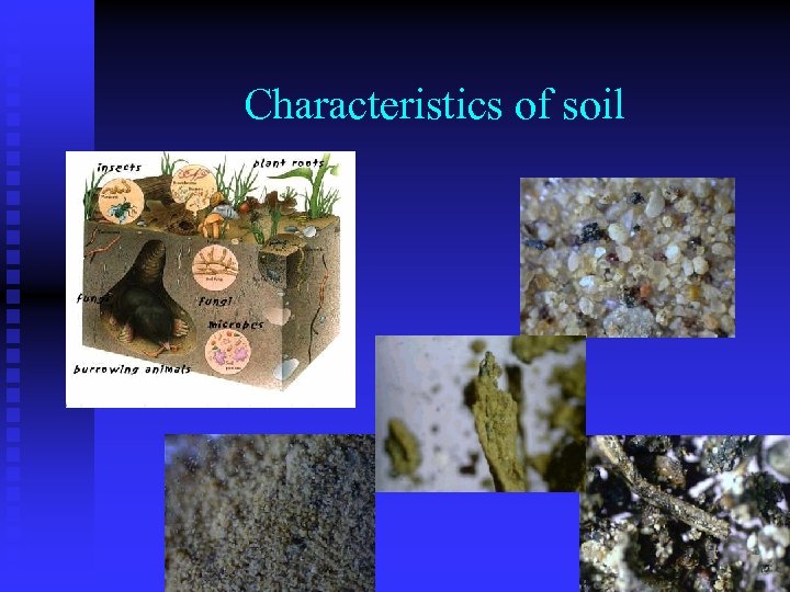 Characteristics of soil 