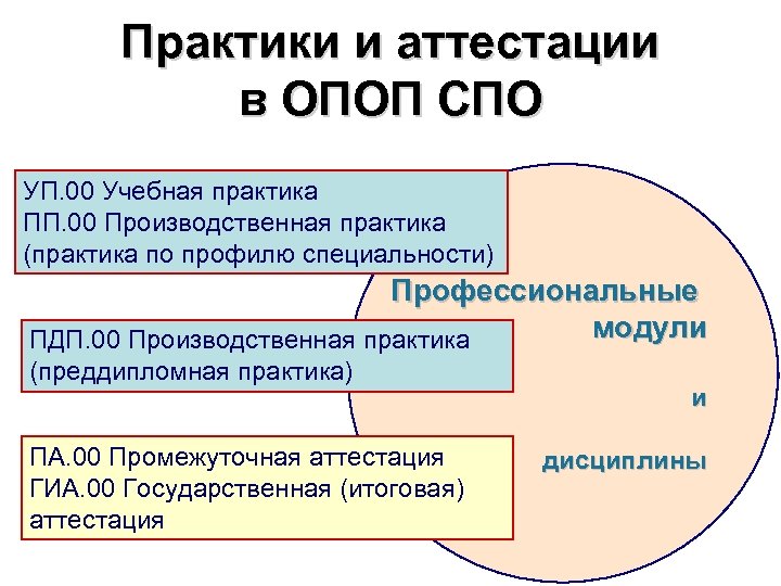 Практики и аттестации в ОПОП СПО УП. 00 Учебная практика ПП. 00 Производственная практика