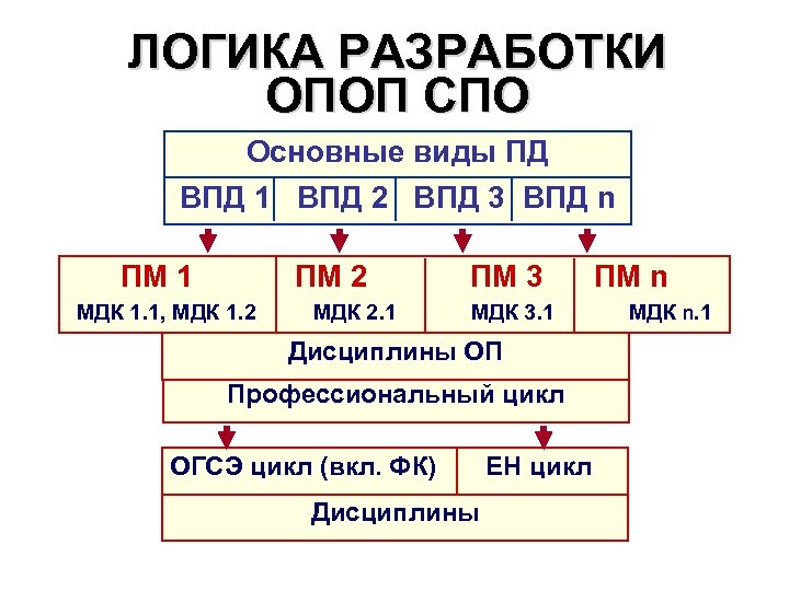 ЛОГИКА РАЗРАБОТКИ ОПОП СПО Основные виды ПД ВПД 1 ВПД 2 ВПД 3 ВПД