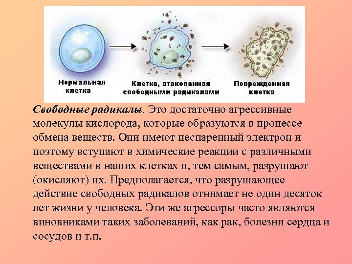 Свободные радикалы. Это достаточно агрессивные молекулы кислорода, которые образуются в процессе обмена веществ. Они