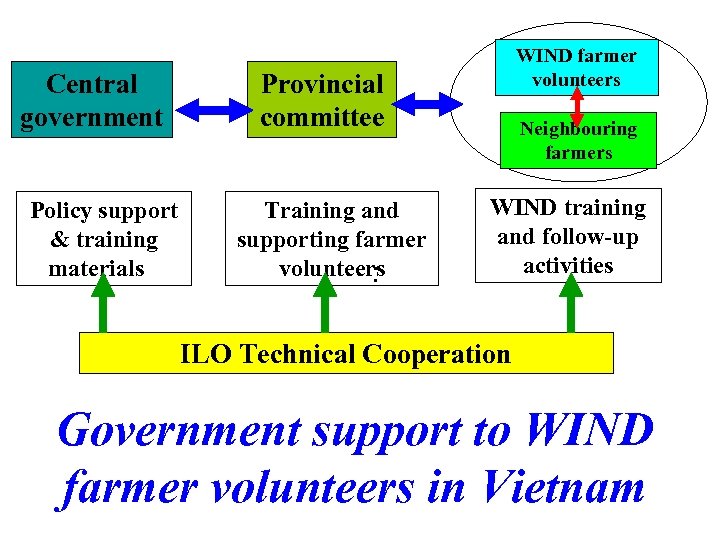 Central government WIND farmer volunteers Provincial committee Policy support Training and & training supporting