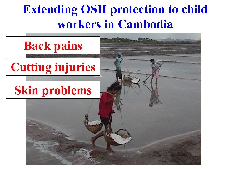 Extending OSH protection to child workers in Cambodia Back pains Cutting injuries Skin problems