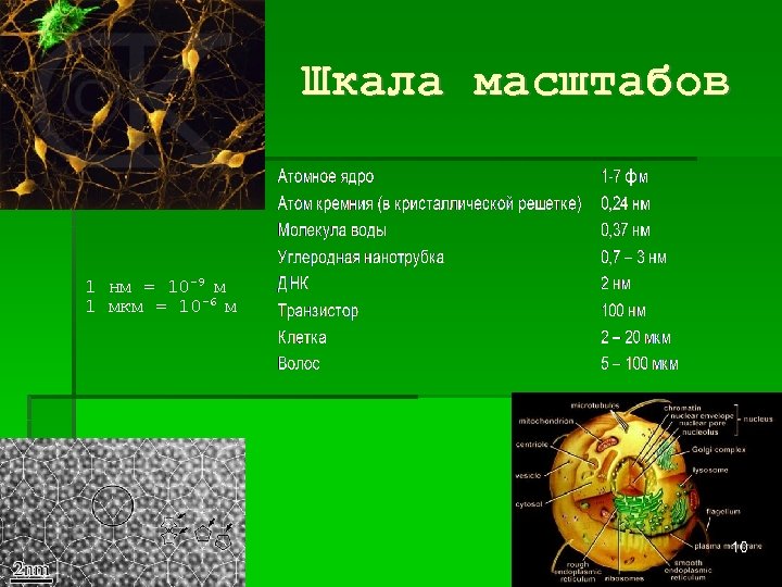 Шкала масштабов 1 нм = 10 -9 м 1 мкм = 10 -6 м