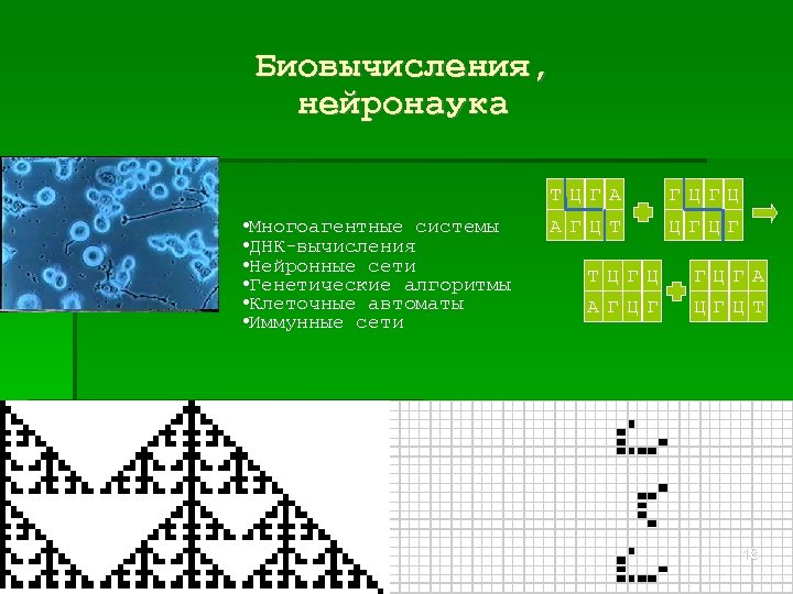 Биовычисления, нейронаука ТЦ ГА • Многоагентные системы • ДНК-вычисления • Нейронные сети • Генетические