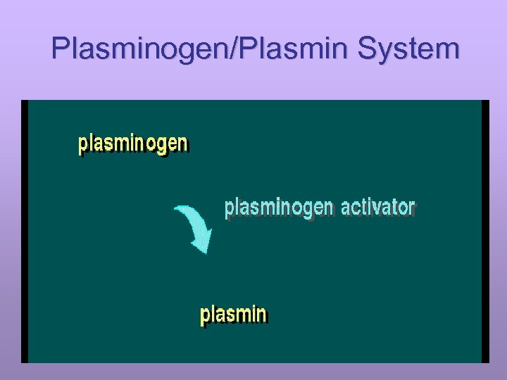 Plasminogen/Plasmin System 