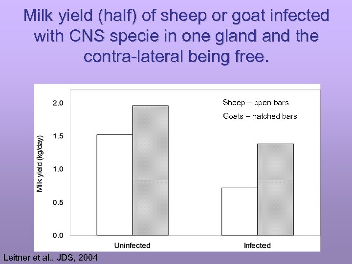 Milk yield (half) of sheep or goat infected with CNS specie in one gland