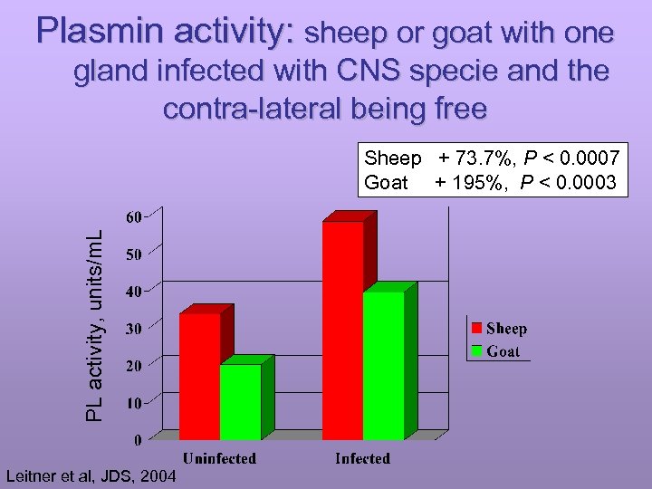 Plasmin activity: sheep or goat with one gland infected with CNS specie and the