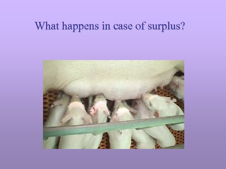 What happens in case of surplus? 