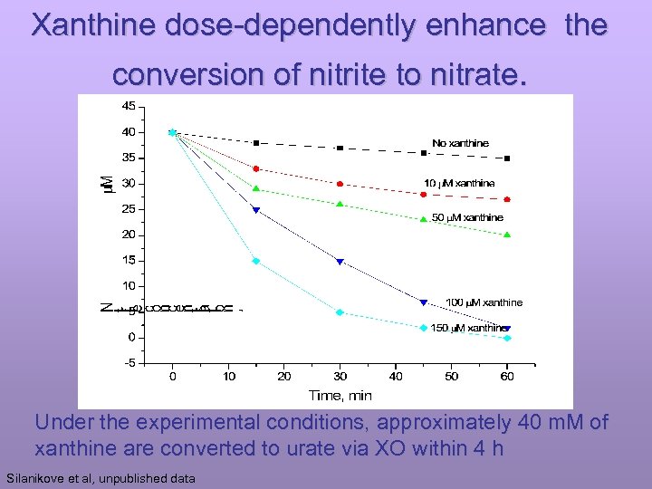 Xanthine dose-dependently enhance the conversion of nitrite to nitrate. Under the experimental conditions, approximately