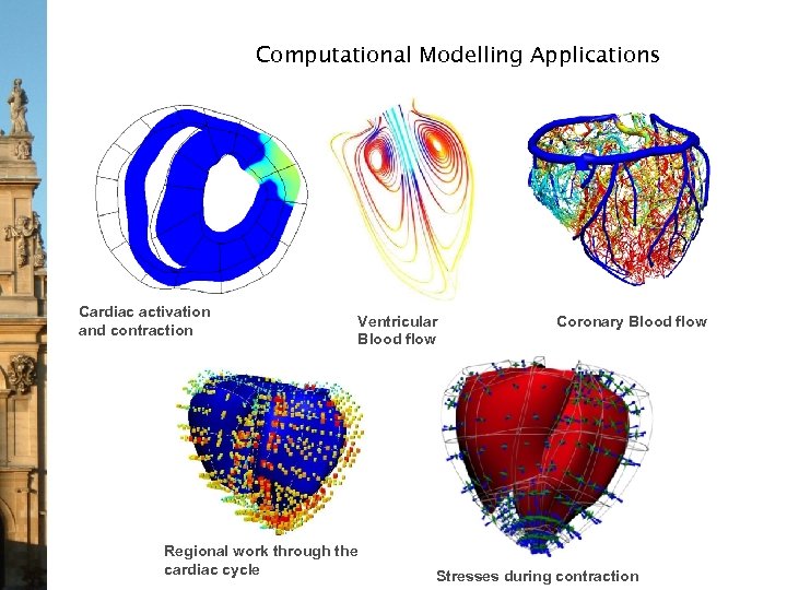 Computational Modelling Applications Cardiac activation and contraction Ventricular Blood flow Regional work through the