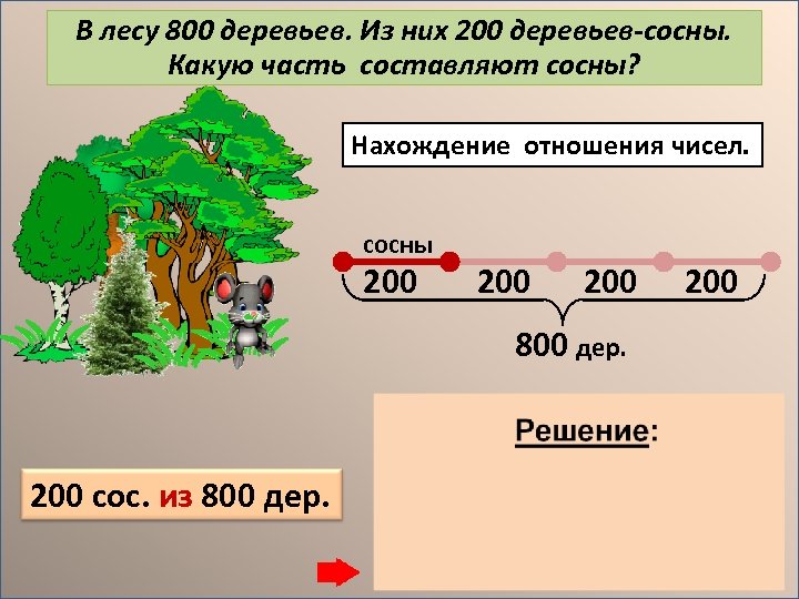 В лесу 800 деревьев. Из них 200 деревьев-сосны. Какую часть составляют сосны? Нахождение отношения