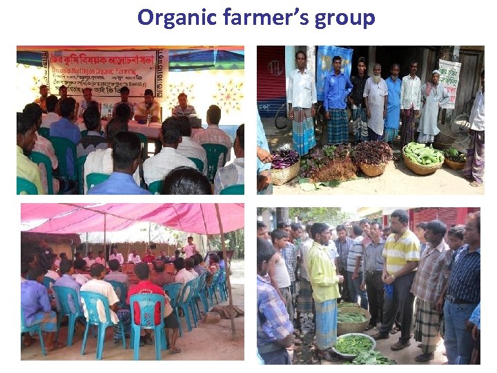 Organic farmer’s group 