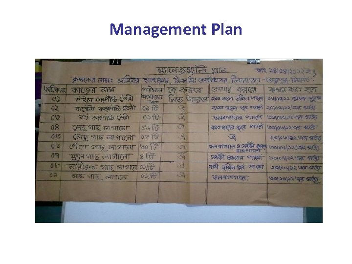 Management Plan 