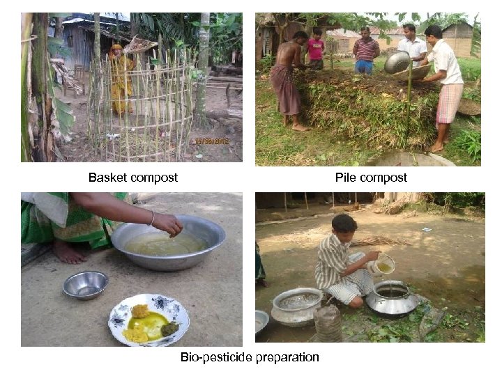 Basket compost Pile compost Bio-pesticide preparation 