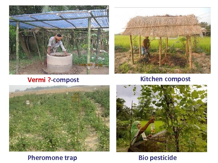 Vermi ? -compost Kitchen compost Pheromone trap Bio pesticide 