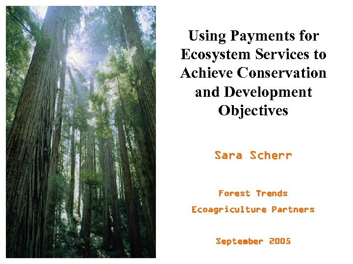 Using Payments for Ecosystem Services to Achieve Conservation and Development Objectives Sara Scherr Forest