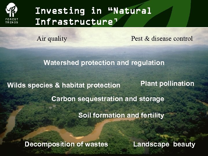 Investing in “Natural Infrastructure’ Air quality Pest & disease control The Forest Climate Alliance
