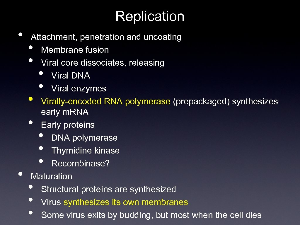 Replication • Attachment, penetration and uncoating Membrane fusion Viral core dissociates, releasing Viral DNA