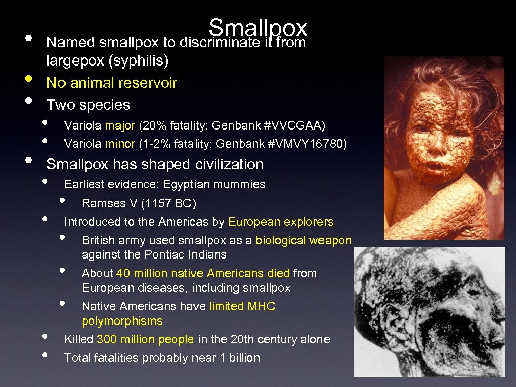 Smallpox • Named smallpox to discriminate it from • • • largepox (syphilis) No