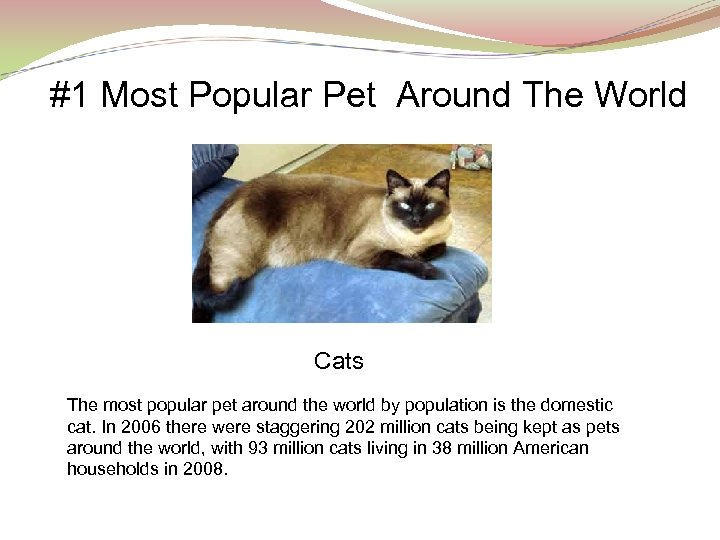 #1 Most Popular Pet Around The World Cats The most popular pet around the