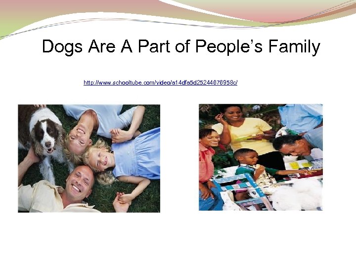 Dogs Are A Part of People’s Family http: //www. schooltube. com/video/a 14 dfa 5