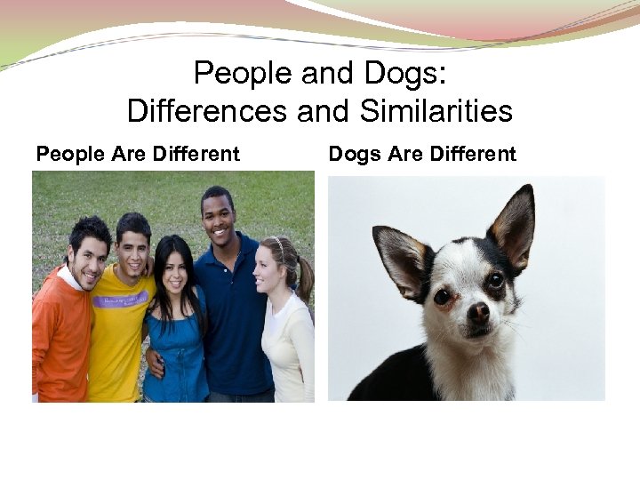 People and Dogs: Differences and Similarities People Are Different Dogs Are Different 