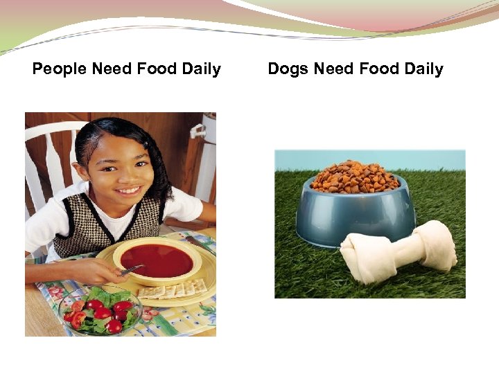 People Need Food Daily Dogs Need Food Daily 