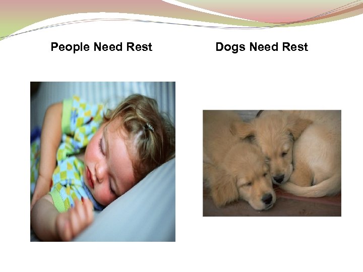 People Need Rest Dogs Need Rest 