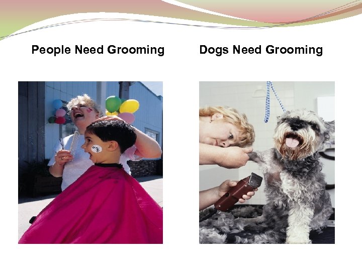 People Need Grooming Dogs Need Grooming 