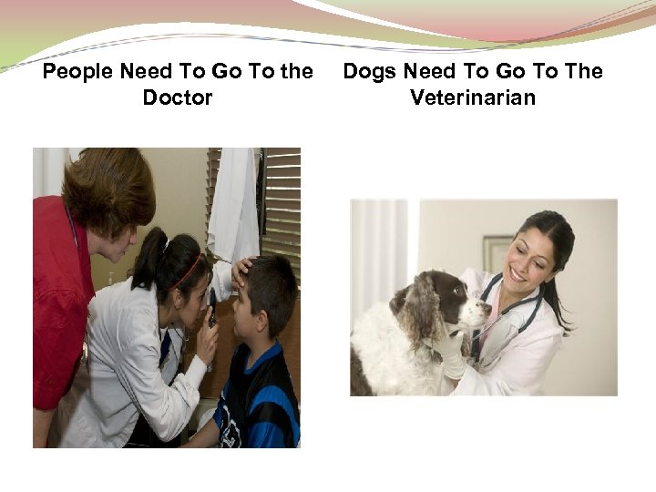 People Need To Go To the Doctor Dogs Need To Go To The Veterinarian