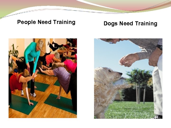 People Need Training Dogs Need Training 