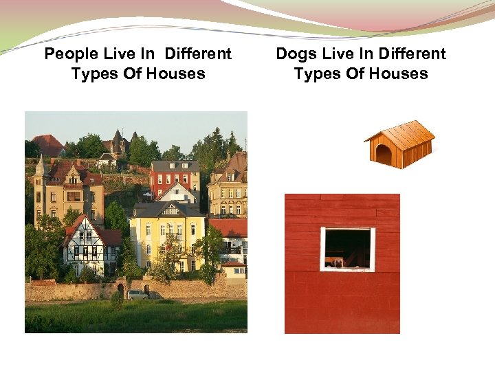 People Live In Different Types Of Houses Dogs Live In Different Types Of Houses