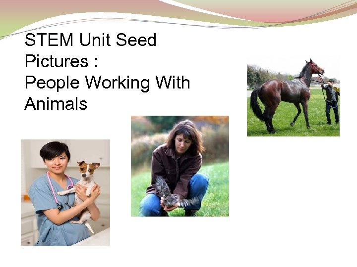 STEM Unit Seed Pictures : People Working With Animals 