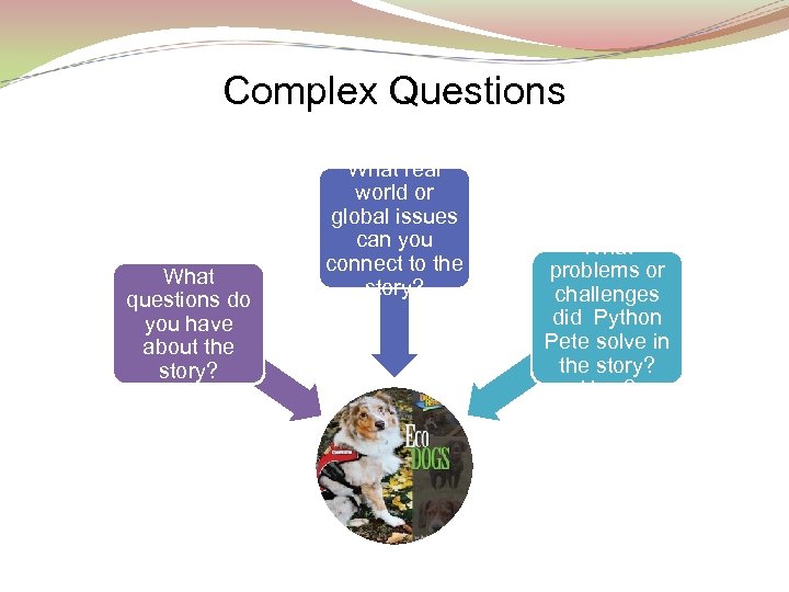 Complex Questions What questions do you have about the story? What real world or