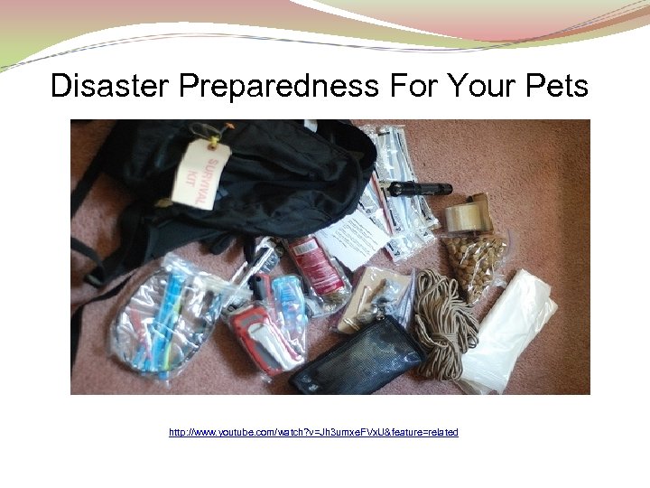 Disaster Preparedness For Your Pets http: //www. youtube. com/watch? v=Jh 3 umxe. FVx. U&feature=related