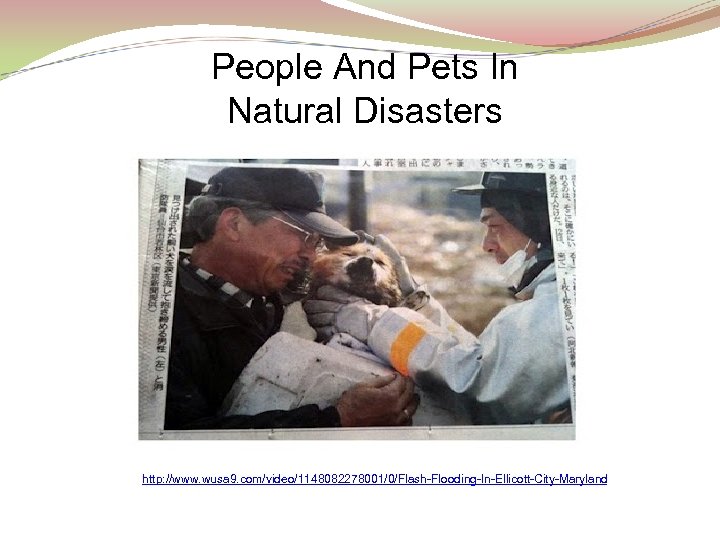 People And Pets In Natural Disasters http: //www. wusa 9. com/video/1148082278001/0/Flash-Flooding-In-Ellicott-City-Maryland 