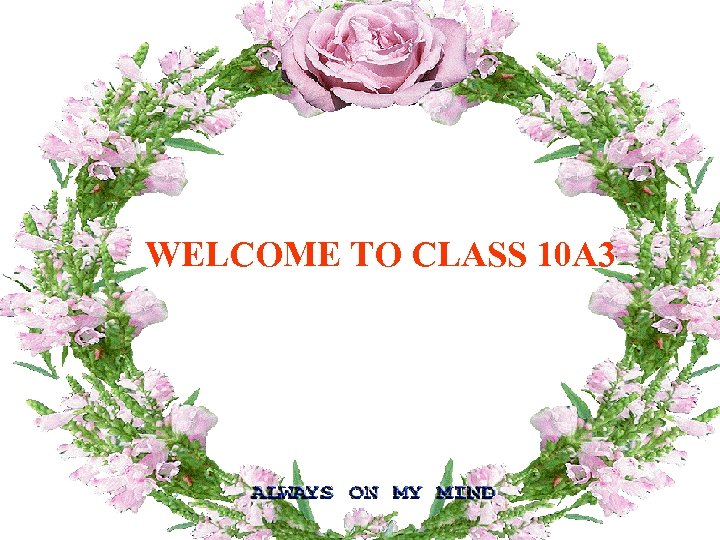 WELCOME TO CLASS 10 A 3 