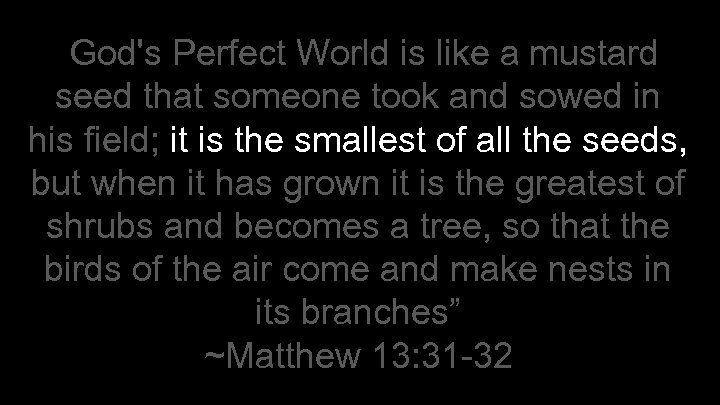 “God's Perfect World is like a mustard seed that someone took and sowed in