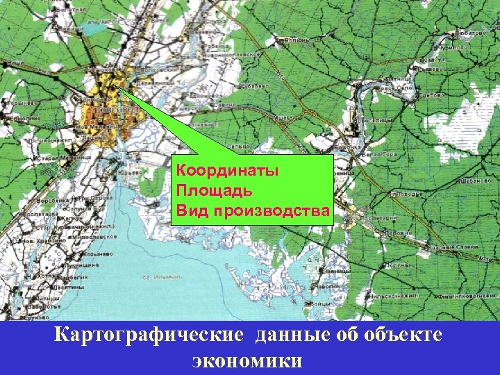 Координаты Площадь Вид производства Картографические данные об объекте экономики 