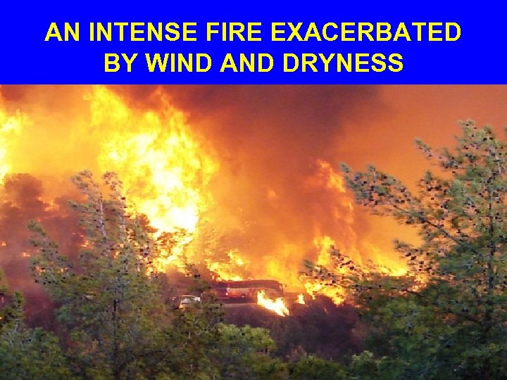 AN INTENSE FIRE EXACERBATED BY WIND AND DRYNESS 