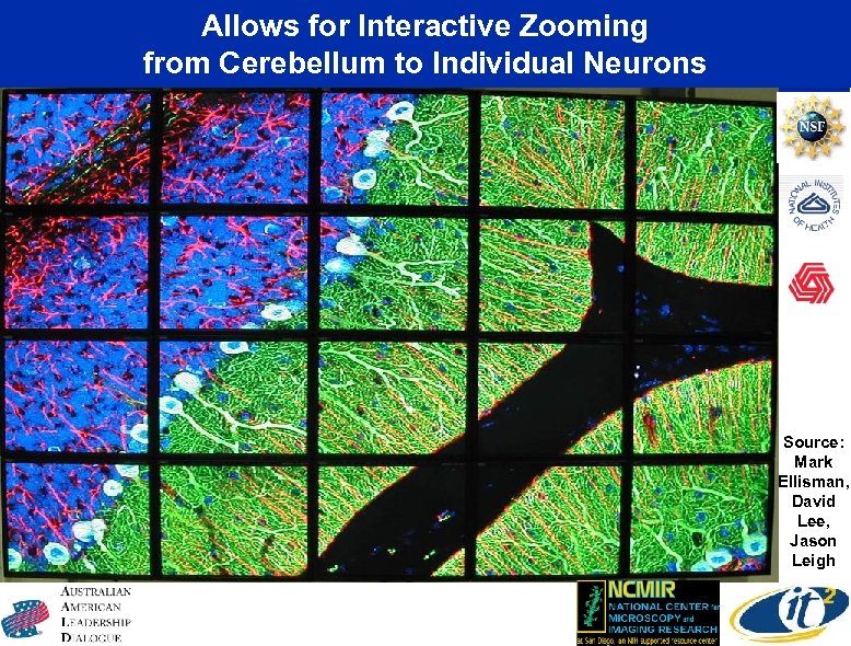 Allows for Interactive Zooming from Cerebellum to Individual Neurons Source: Mark Ellisman, David Lee,