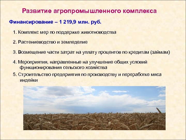 Развитие агропромышленного комплекса Финансирование – 1 219, 9 млн. руб. 1. Комплекс мер по