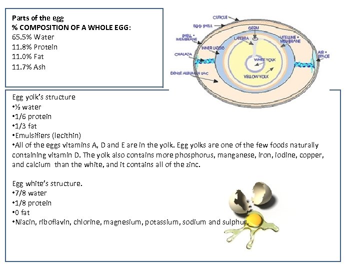 Parts of the egg % COMPOSITION OF A WHOLE EGG: 65. 5% Water 11.