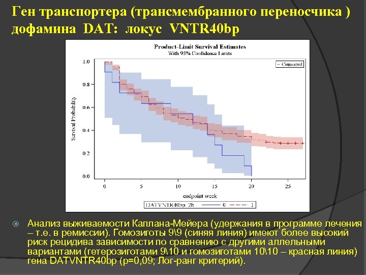 Ген транспортера (трансмембранного переносчика ) дофамина DAT: локус VNTR 40 bp Анализ выживаемости Каплана-Мейера