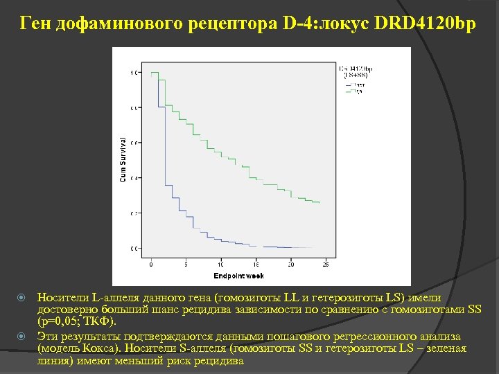 Ген дофаминового рецептора D-4: локус DRD 4120 bp Носители L-аллеля данного гена (гомозиготы LL