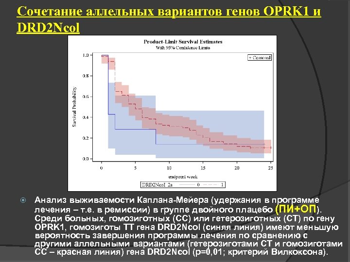 Сочетание аллельных вариантов генов OPRK 1 и DRD 2 Ncol Анализ выживаемости Каплана-Мейера (удержания