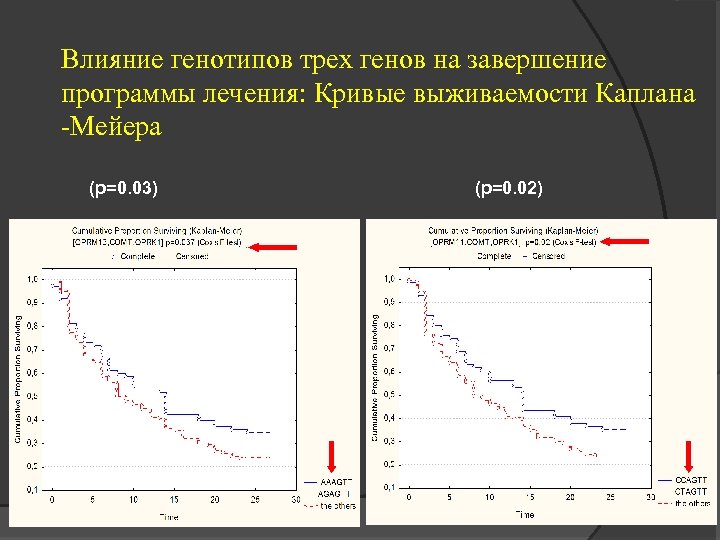 Влияние генотипов трех генов на завершение программы лечения: Кривые выживаемости Каплана -Мейера (p=0. 03)