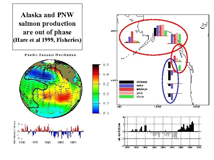 Alaska and PNW salmon production are out of phase (Hare et al 1999, Fisheries)